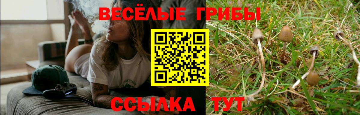 Галлюциногенные грибы MAGIC MUSHROOMS  Вход с VPN  Галлюциногенные грибы Cubensis  Реутов 